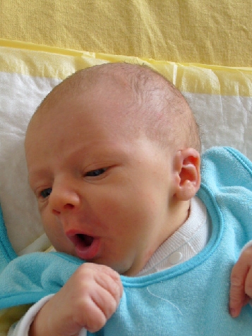 naissance de luca